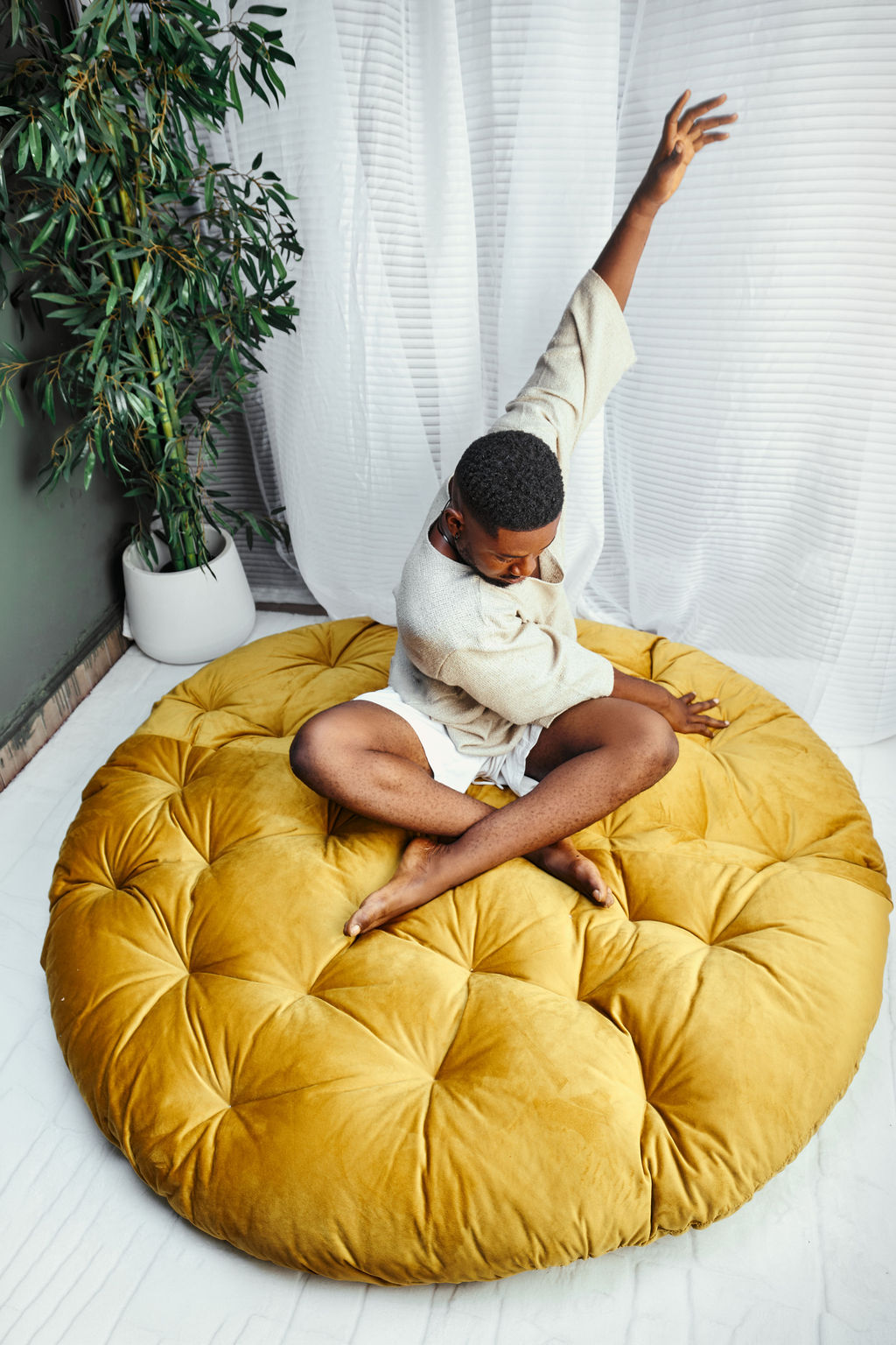 COIL DAY BED