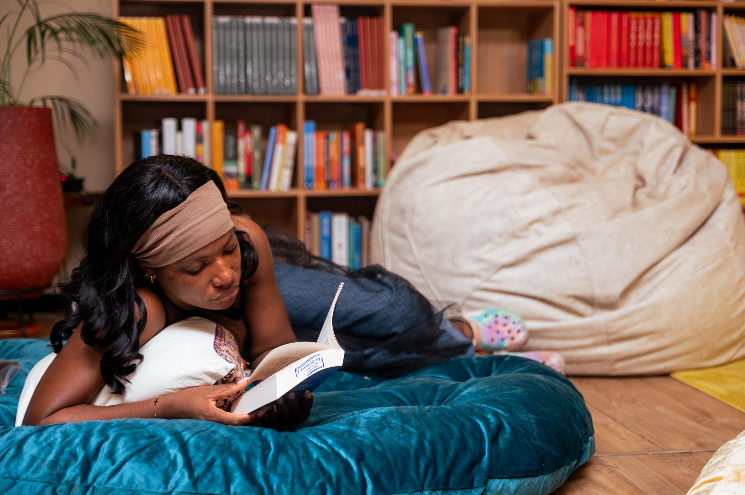 Spooned Day Bed- Coil - Image 3